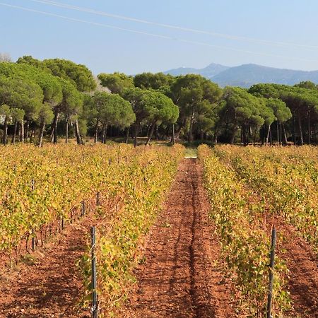 Le Gite Des Cinq Cepages Fréjus Exteriör bild