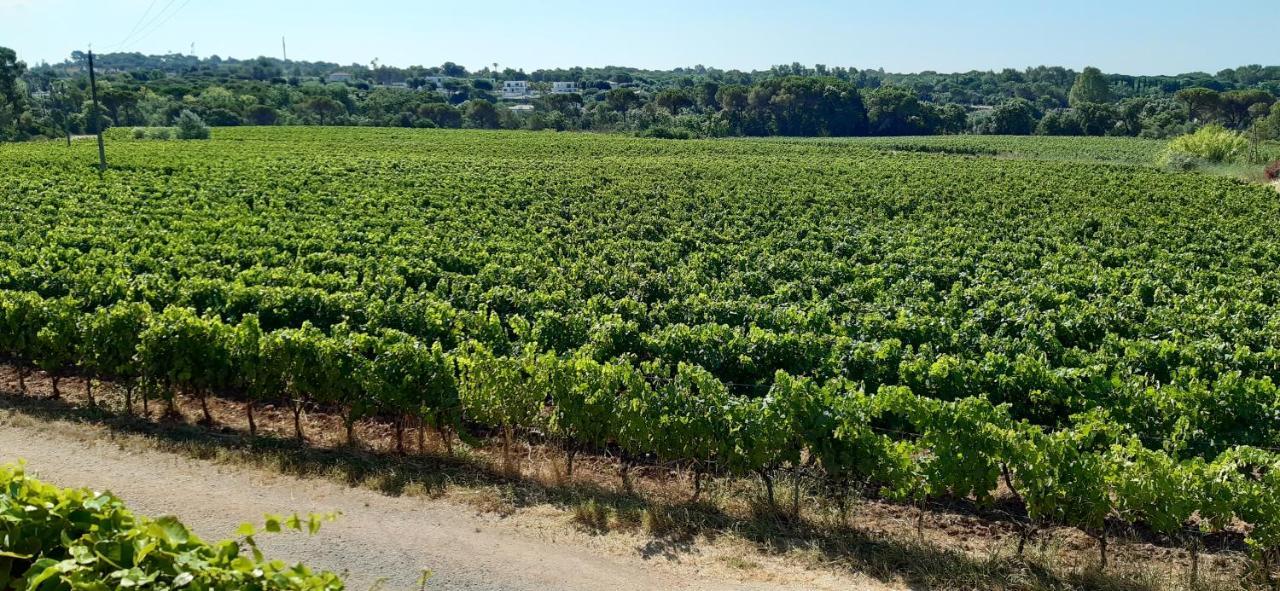 Le Gite Des Cinq Cepages Fréjus Exteriör bild