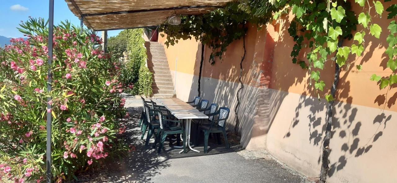 Le Gite Des Cinq Cepages Fréjus Exteriör bild