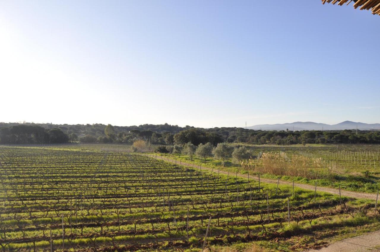 Le Gite Des Cinq Cepages Fréjus Exteriör bild